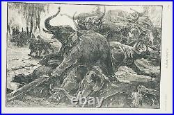1887 Harper's Weekly print of Barnum's Menagerie Circus Elephant Fire Stampede