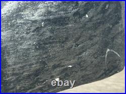 Berkeley Designs Civil War Submarine Display Model H. L. Hunley USA Navy 1864