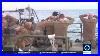 Footage-Shows-Us-Sailors-Detained-By-Iran-S-Naval-Forces-01-wfw