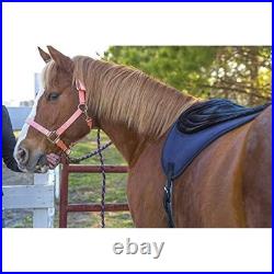 Intrepid International Comfort Plus Bareback Pad, Black, 21-3/4 in x 22