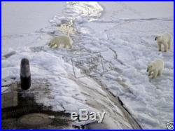 Polar bears approach US NAVY Attack Submarine USS HONOLULU (SSN 718) 12X18 Photo