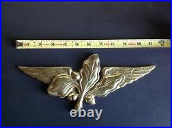 U. S. Navy supply officer Bronze Wings