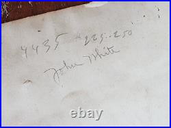 WWI US Navy Wyoming Class Battleship Crew Photo Cage Mast Hampton VA 20x12