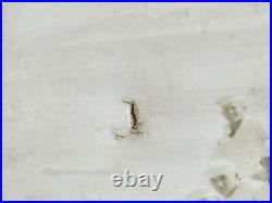 WWI US Navy Wyoming Class Battleship Crew Photo Cage Mast Hampton VA 20x12